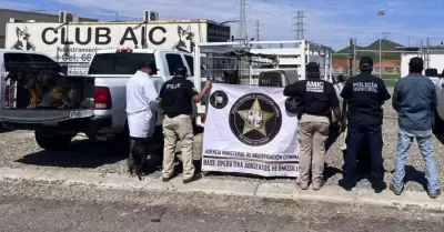 Rescatan a 30 perros en Hermosillo