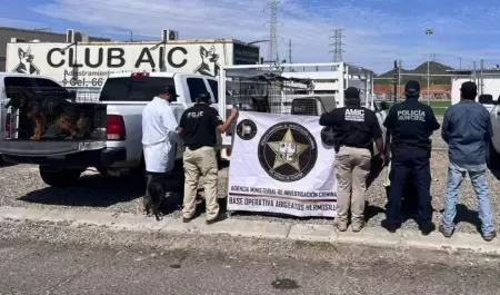 Rescatan a 30 perros en Hermosillo