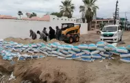 Baha de Kino no registr percances por lluvias: comisario