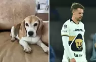 Aaron Ramsey ofrece 10 mil dlares de recompensa por su perro