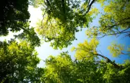 Prevn alza en las temperaturas para el fin de semana