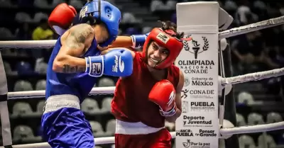 Torneo Internacional Boxam