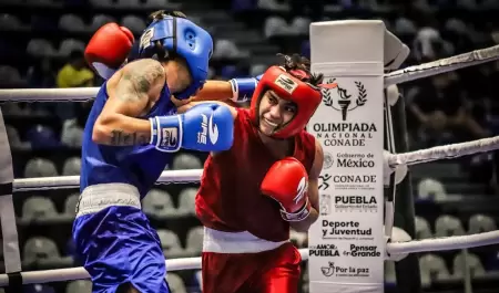Torneo Internacional Boxam