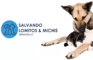 Realizan campaa Limpia de Clset