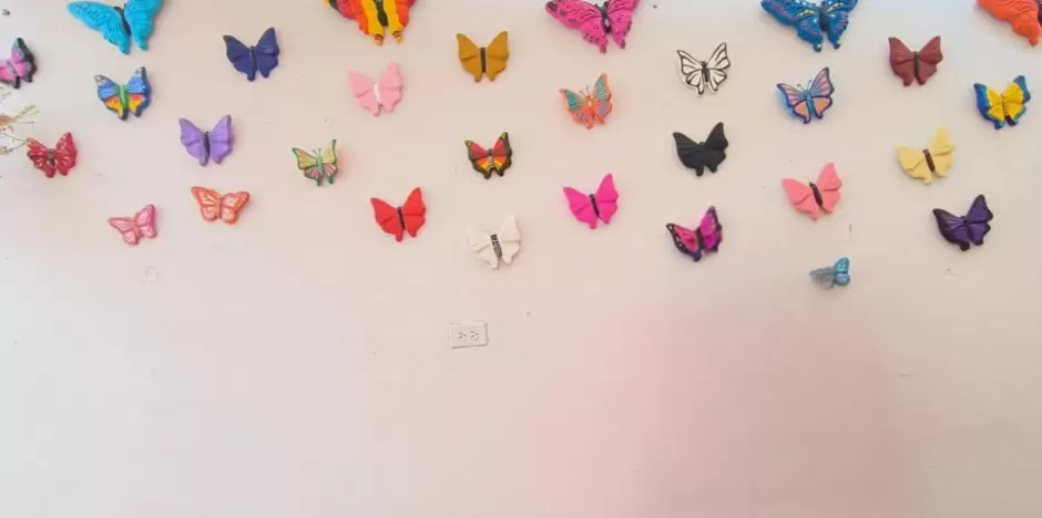 Irene cre el grupo de soporte emocional "Mariposas"