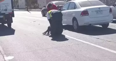 Atropellan a una estudiante de la Unison