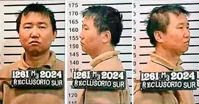 Zhi Dong Zhang, alias "Brother Wang"