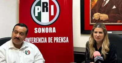Guadalupe Soto, dirigente estatal del PRI