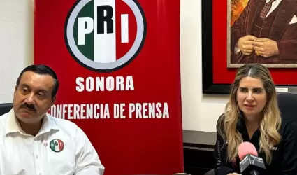 Guadalupe Soto, dirigente estatal del PRI