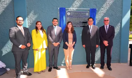 Unison Medicina