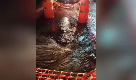 Reparacin de Agua de Hermosillo