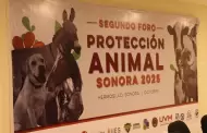 Concluye con éxito el Foro de Protección y Bienestar Animal Sonora 2025