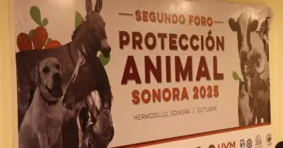 Foro de Proteccin y Bienestar Animal Sonora