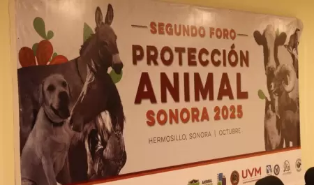 Foro de Protección y Bienestar Animal Sonora