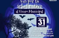 ¡Ve por tu árbol nativo gratis este viernes!