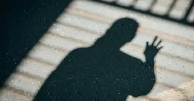 Entre la sombra y la palabra