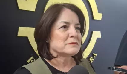 Gabriela Flix, diputada de Movimiento Ciudadano