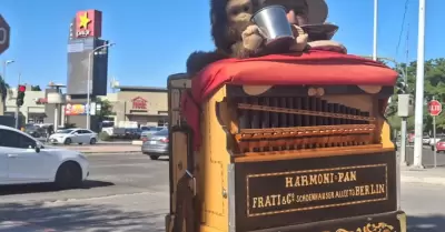 Los organilleros llegan a Hermosillo.