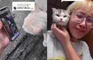 VIDEO La chica que pidi ayuda a los gatos... y su mascota volvi a casa!