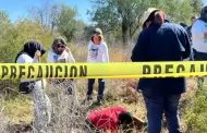 Localizan cuatro fosas con restos humanos en las cercanas de Real del Alamito