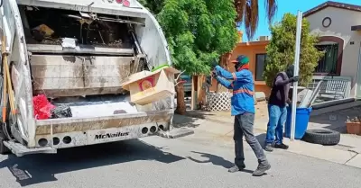 Recolector de basura