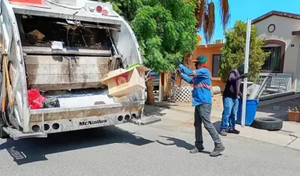 Recolector de basura