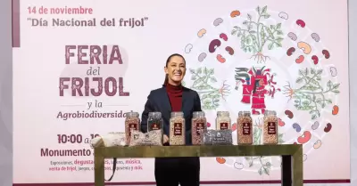 Claudia Sheinbaum Pardo