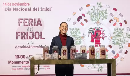 Claudia Sheinbaum Pardo