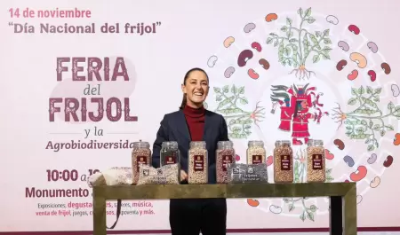 Claudia Sheinbaum Pardo