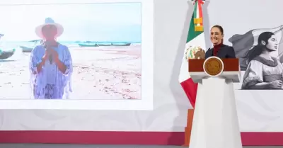 Estrategia Tulum Renace