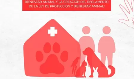 Clausura simblica de La Sauceda