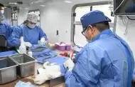 Realizan ms de 17 mil esterilizaciones caninas y felinas en Hermosillo