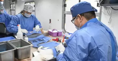 Esterilizaciones gratuitas