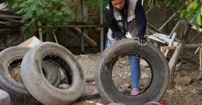 Prevencin contra el dengue