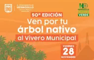 Habr donacin de rboles nativos el prximo viernes en Hermosillo