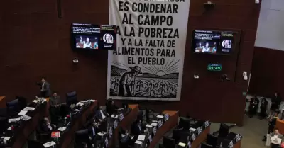 Senado de la Repblica