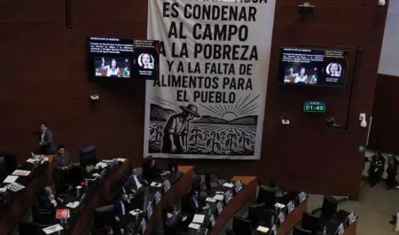 Senado de la Repblica