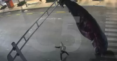 Paracaidista queda atorado en estructura se semforo