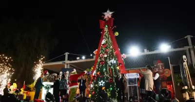 Gran Posada Navidea