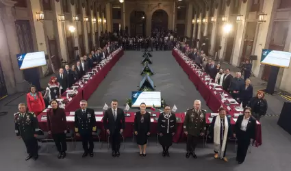 Consejo Nacional de Seguridad Pblica.