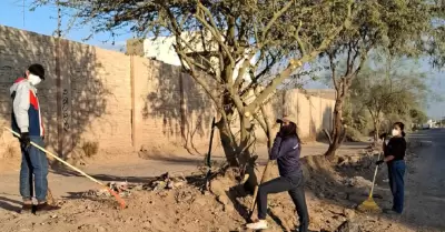 Unidad Deportiva Reforma