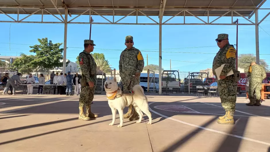Jornada de Labor Social "Por la Paz".