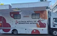 Entregan cl�nica m�vil a Direcci�n de Bienestar y Protecci�n Animal