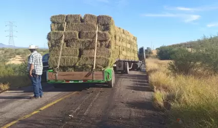 Hermosillo-Mazat�n