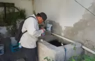 Alertan por riesgo de dengue en fiestas decembrinas