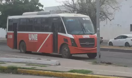 camiones, transporte p�blico