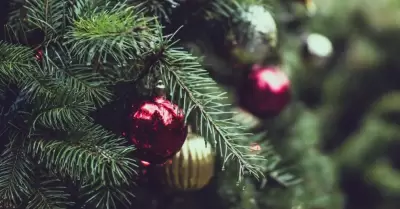 �rbol navide�o natural