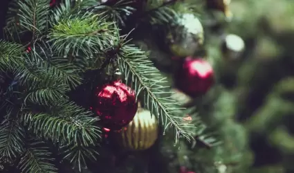 �rbol navide�o natural