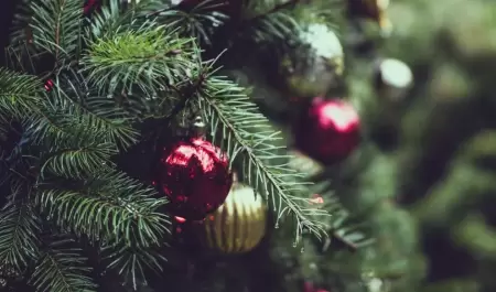 �rbol navide�o natural