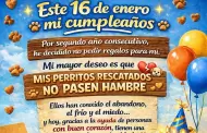 Convierte su cumplea�os en ayuda para perritos rescatados